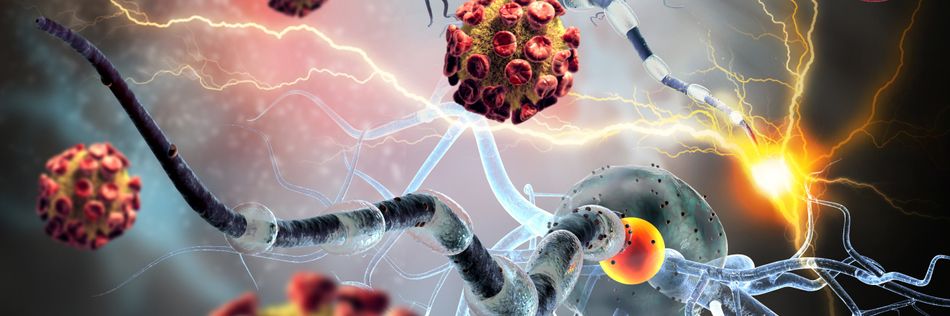 Grafische Darstellung Nervenzellen